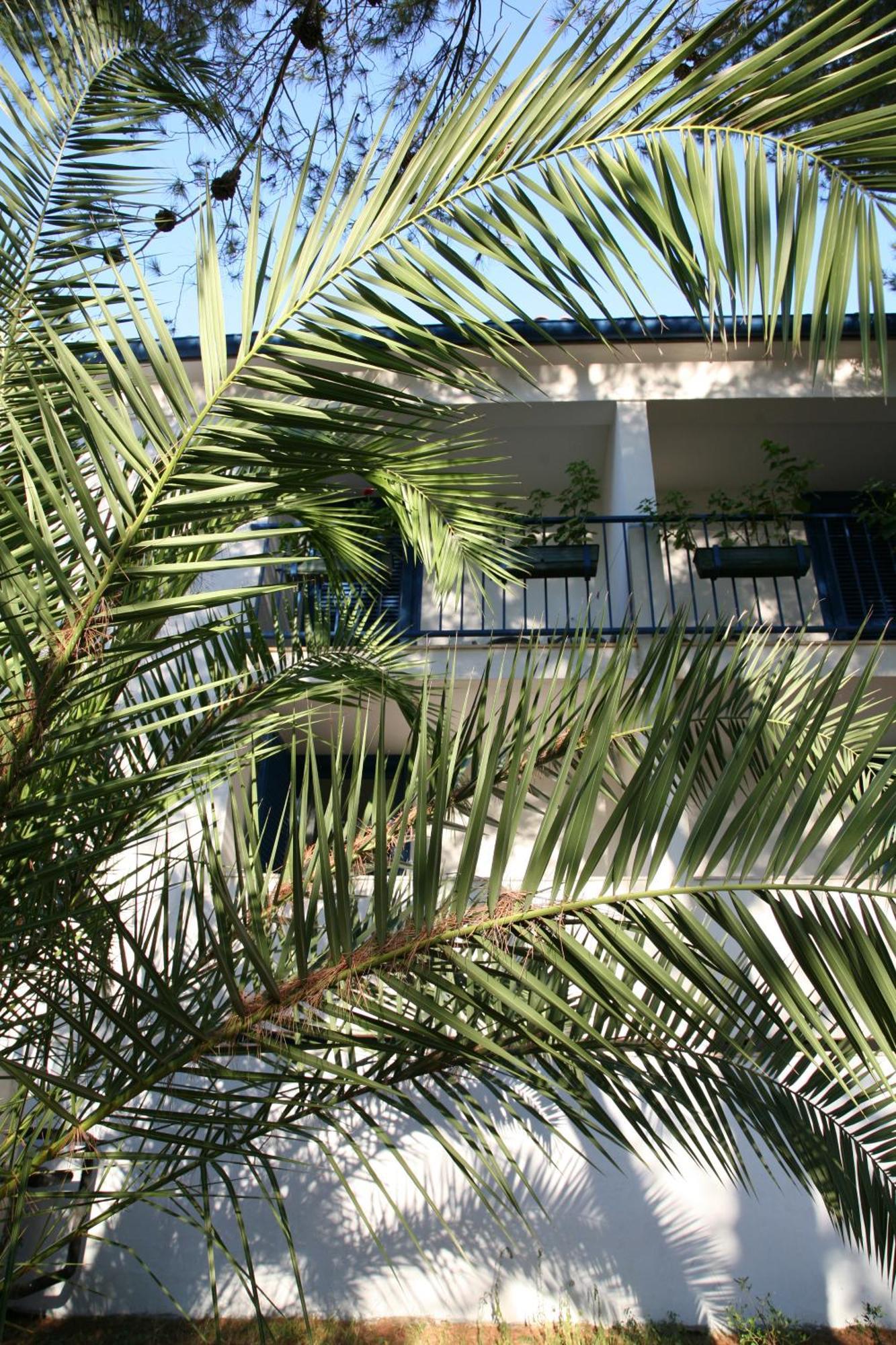 Hotel Sali Exteriér fotografie